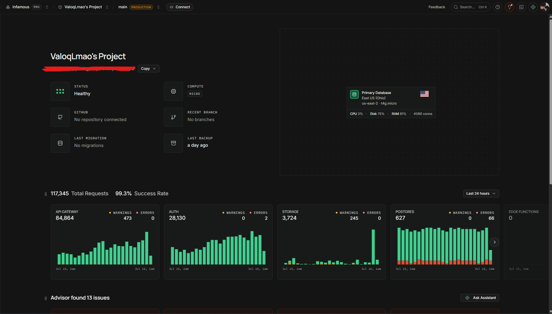 dashboard showing 117,345 requests in 24h at 99.3% success